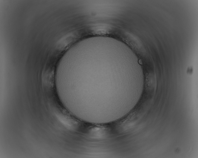 X0000092320364200710121527