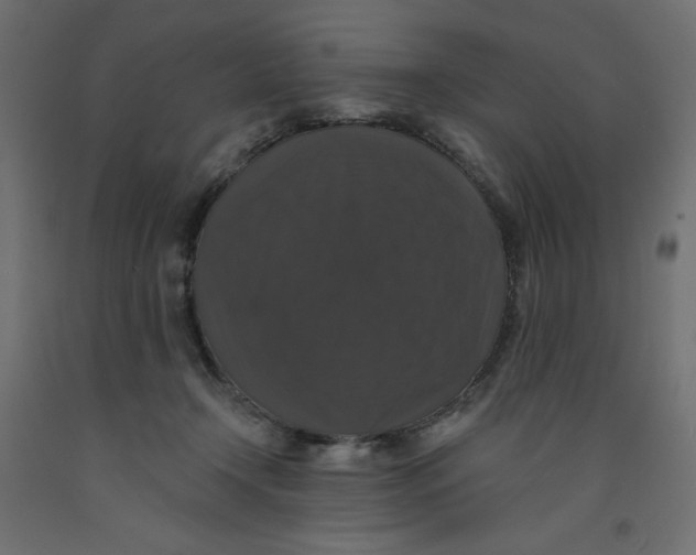 X0000092320366200710121527