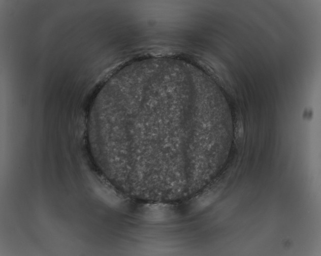 X0000092320367200710121527