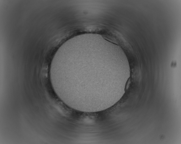 X0000092320368200710121527