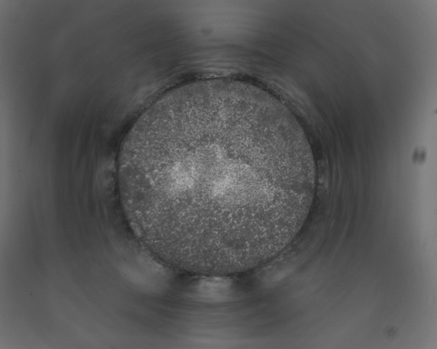 X0000092320369200710121527