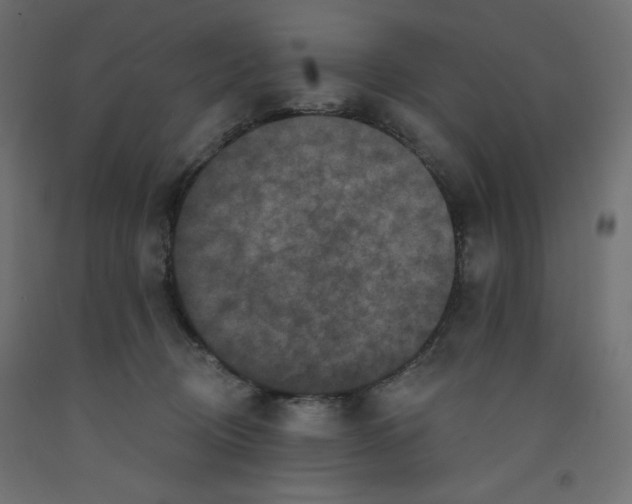 X0000092320370200710121527