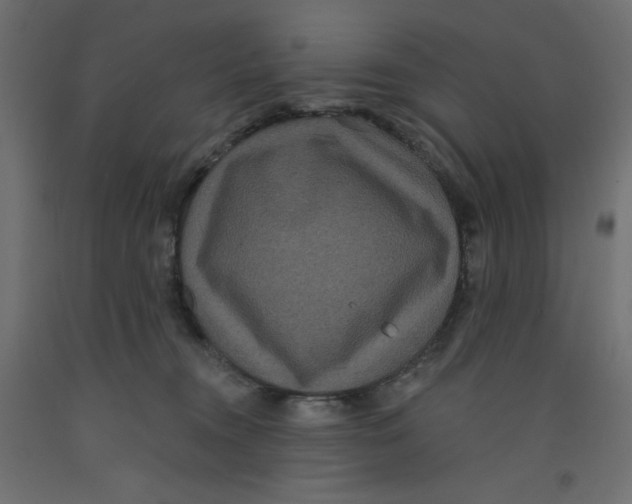 X0000092320372200710121527