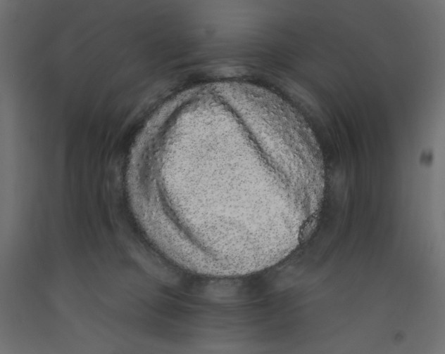 X0000092320373200710121527