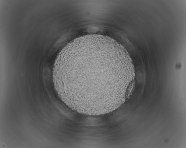 X0000092320375200710121527