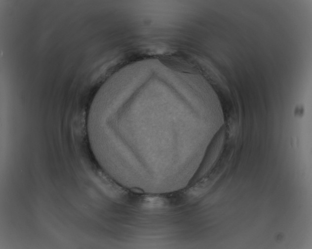 X0000092320376200710121527