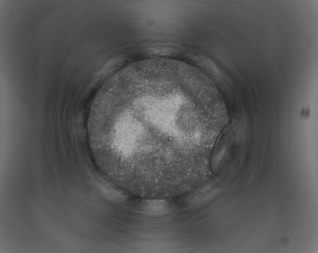 X0000092320377200710121527