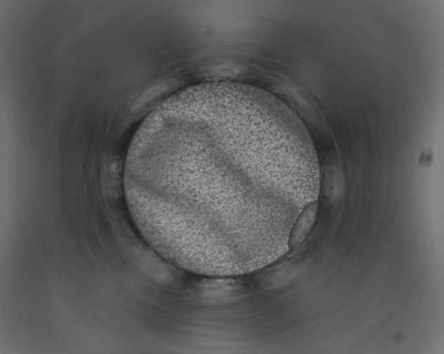 X0000092320378200710121527