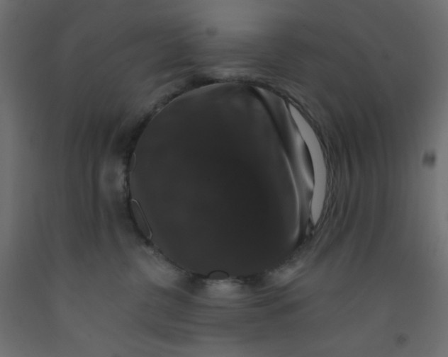 X0000092320380200710121527