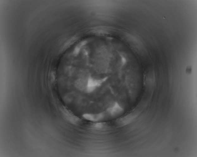 X0000092320382200710121527