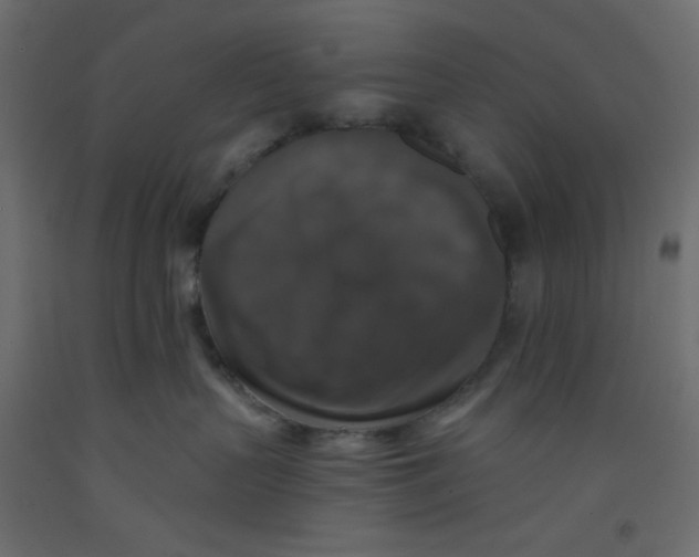 X0000092320383200710121527