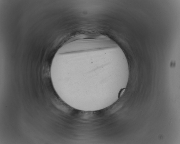 X0000092320384200710121527