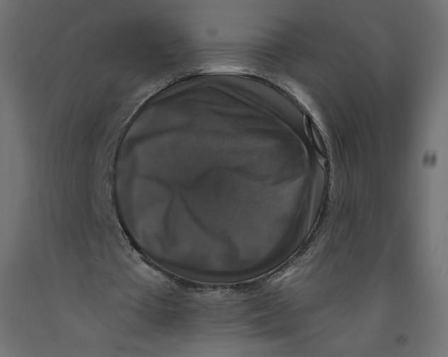 X0000092320385200710121527