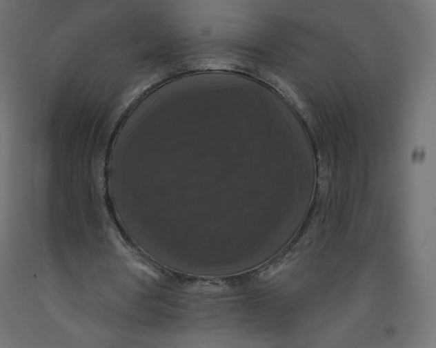 X0000092320386200710121527