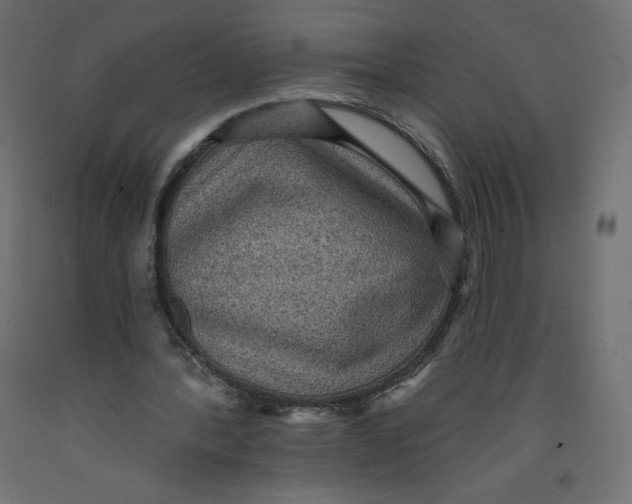 X0000092320388200710121527