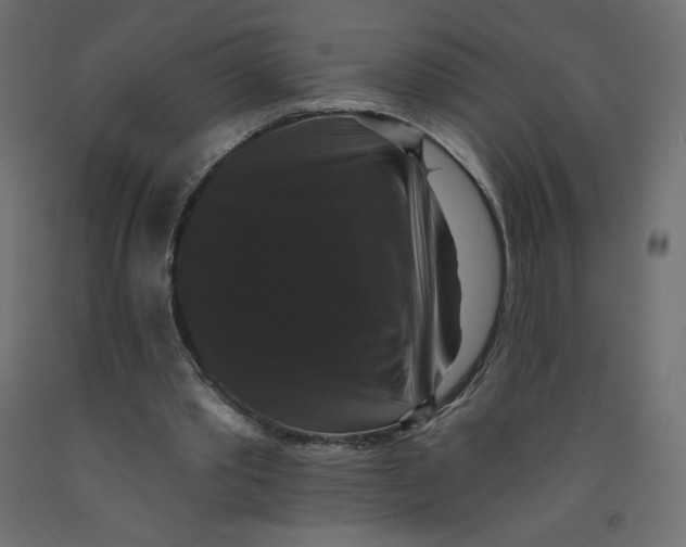 X0000092320389200710121527