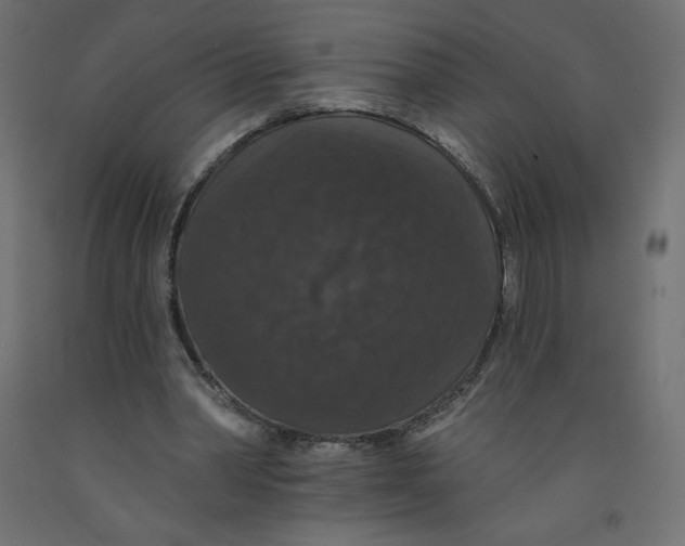 X0000092320390200710121527
