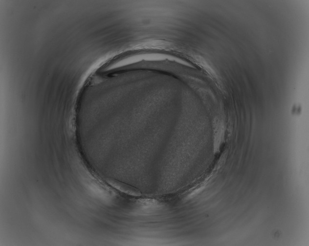 X0000092320392200710121527