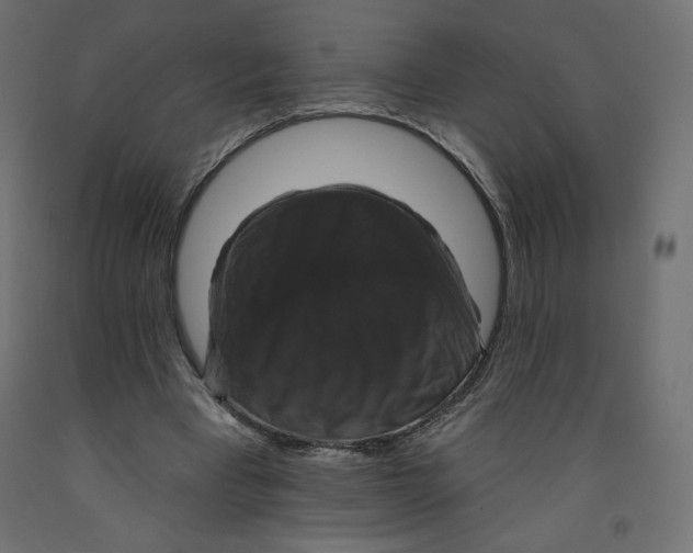 X0000092320393200710121527