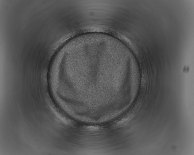 X0000092320394200710121526
