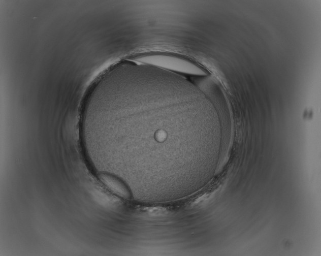 X0000092320395200710121526
