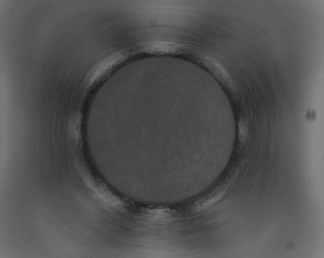 X0000092320396200710121526