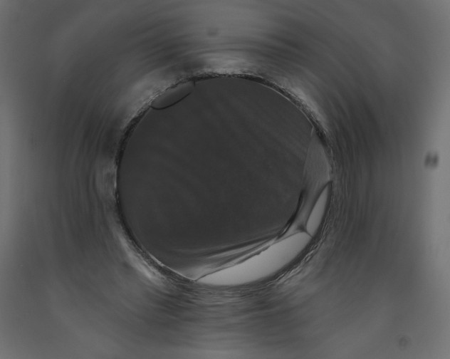 X0000092320397200710121526