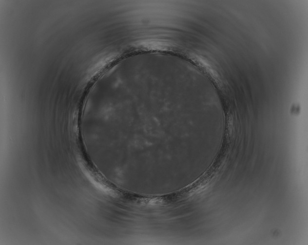 X0000092320398200710121526