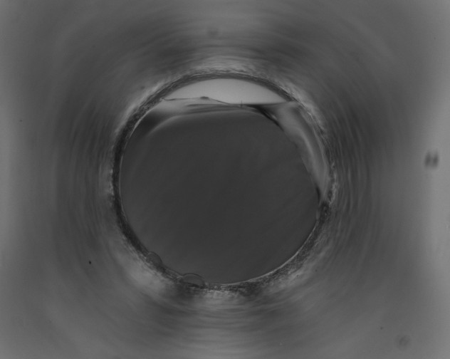 X0000092320399200710121526