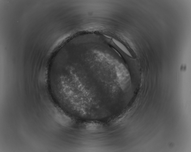 X0000092320400200710121526