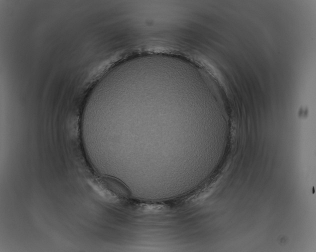 X0000092320401200710121526