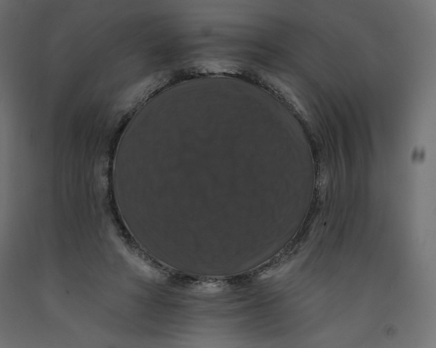 X0000092320402200710121526