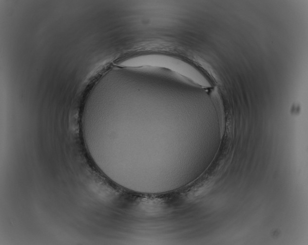 X0000092320403200710121526