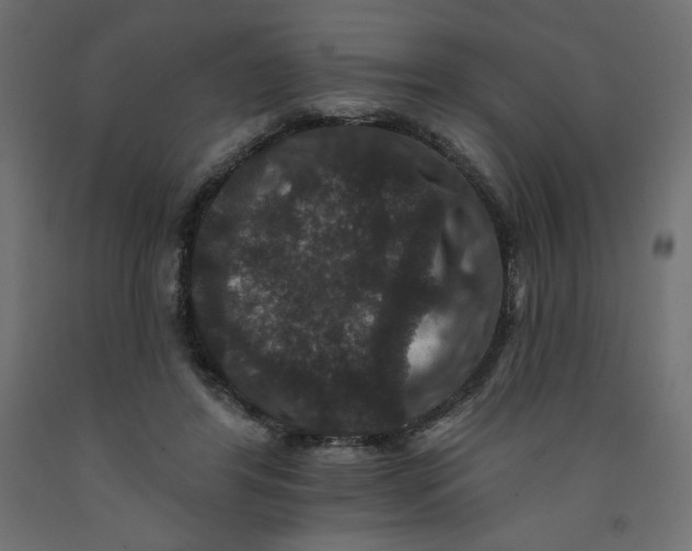 X0000092320404200710121526