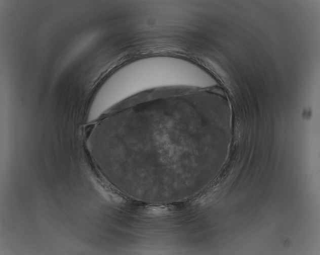 X0000092320405200710121526