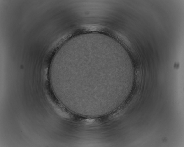 X0000092320406200710121526