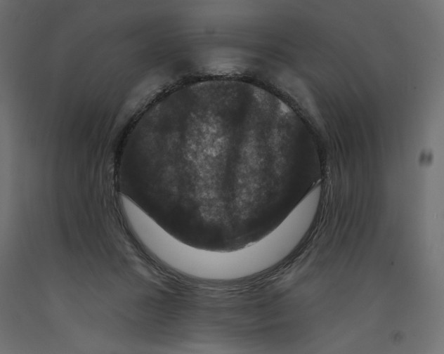 X0000092320407200710121526