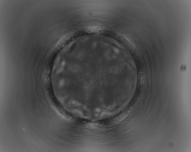X0000092320408200710121526