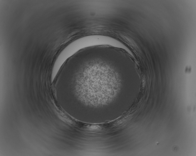 X0000092320409200710121526