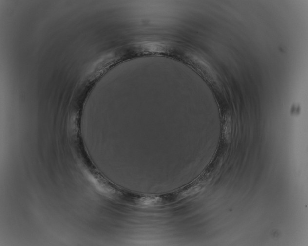 X0000092320410200710121526