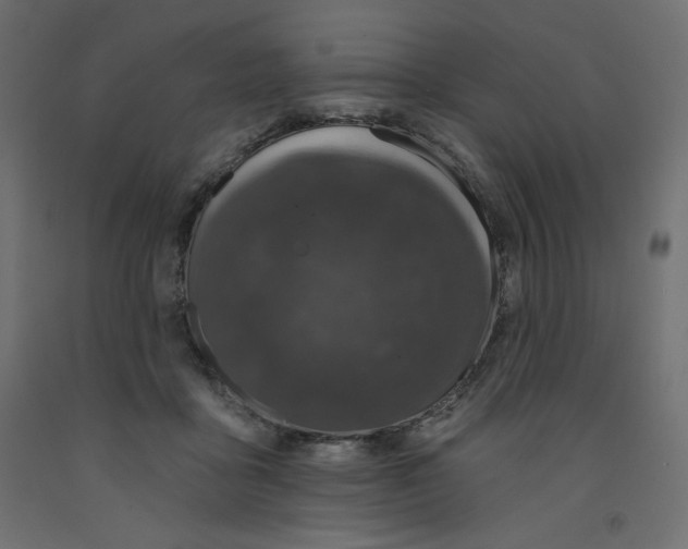 X0000092320411200710121526