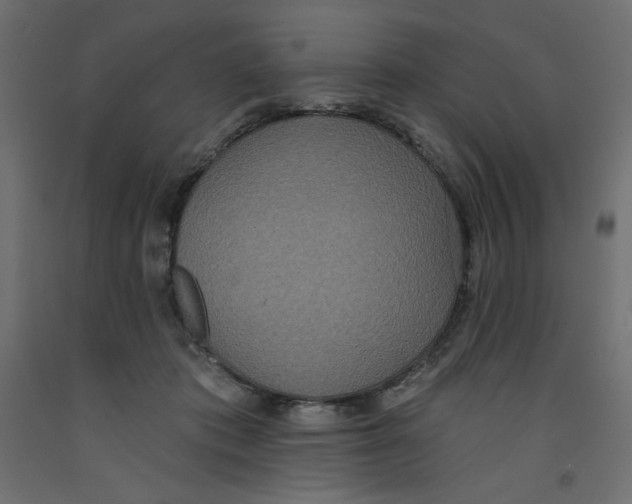 X0000092320413200710121526