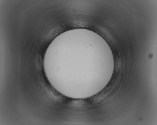 X0000092320414200710121526