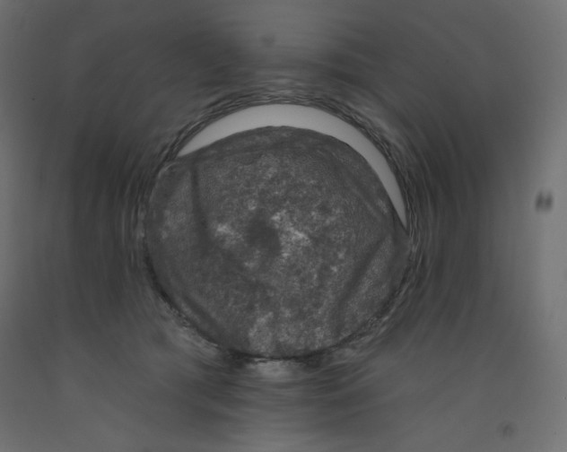 X0000092320417200710121526