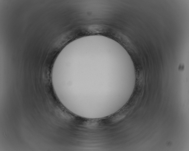 X0000092320418200710121526