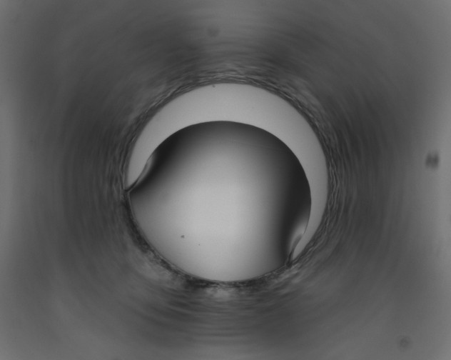 X0000092320419200710121526