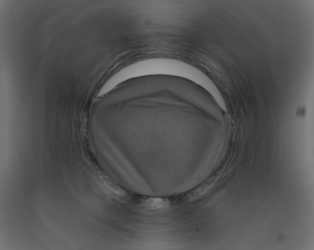 X0000092320421200710121526