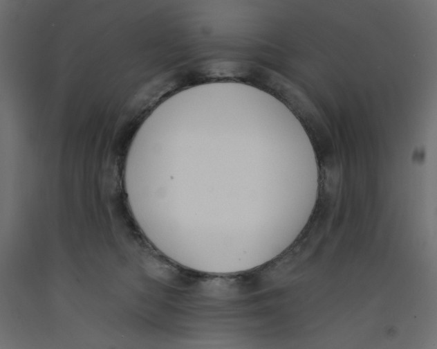 X0000092320422200710121526