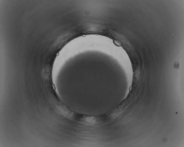 X0000092320423200710121526