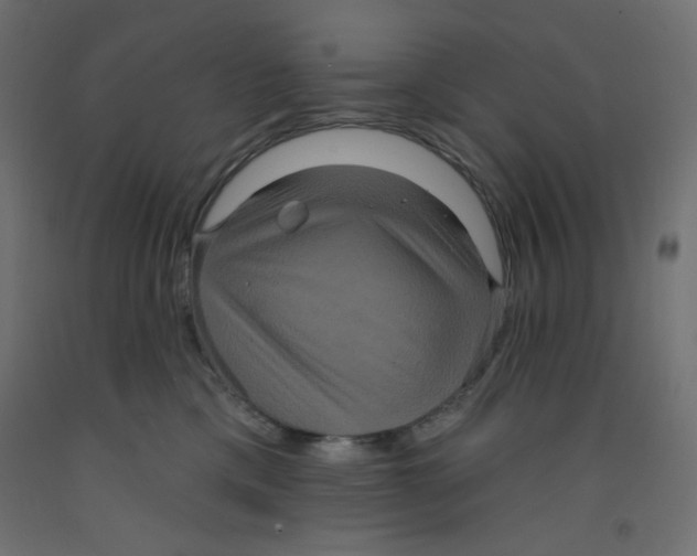 X0000092320425200710121526